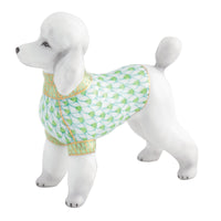 Toy Poodle — Keylime