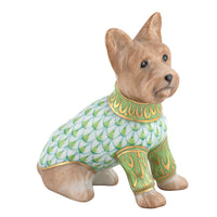 Yorkshire Terrier — Keylime