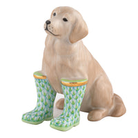 Rainy Day Retriever — Keylime
