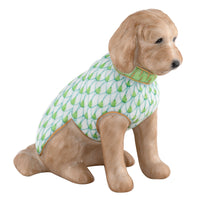 Labradoodle — Keylime