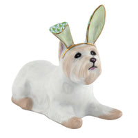 Westie with Bunny Ears — Keylime
