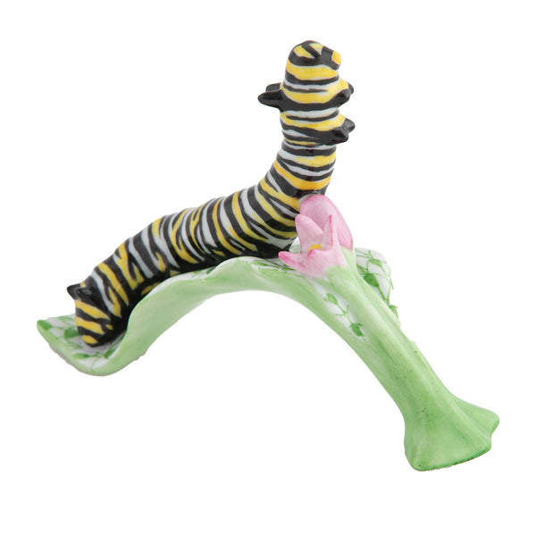 Monarch Butterfly Caterpillar