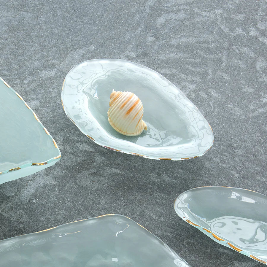 Frosted Gold Shells Abalone