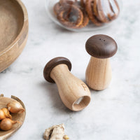 Mushroom Shaped Salt & Pepper Shakers