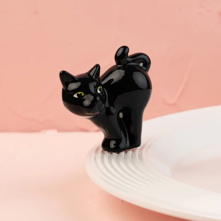 scaredy cat