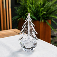 Bubble Evergreen in Gift Box - 12 Inch