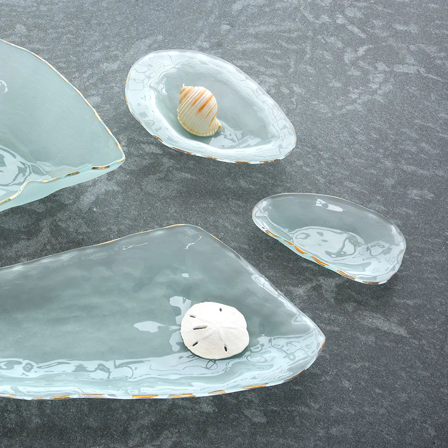 Frosted Gold Shells Abalone