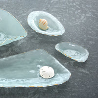 Frosted Gold Shells Abalone