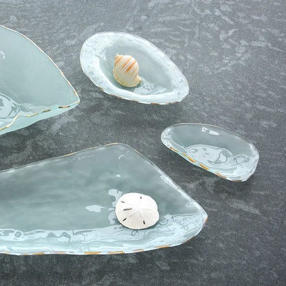 Frosted Gold Shells Abalone