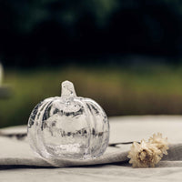 Crackle Pumpkin - S