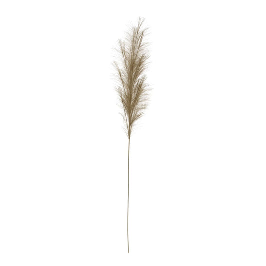 Faux Pampas Grass Plume, Sage Color