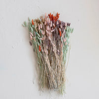 Dried Natural Bunny Tail Bunch, Natural