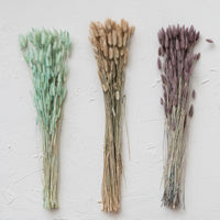 Dried Natural Bunny Tail Bunch, Natural