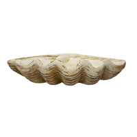 Magnesia Décor Clamshell