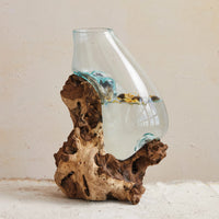 Recycled Glass Terrarium/Vase on Natural Wood Base
