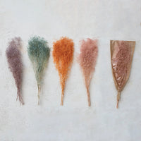 Dried Natural Baby's Breath Bunch, 4 Colors