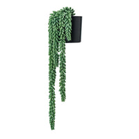 Faux Donkey Tail Plant in Plastic Pot