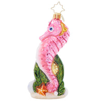 Sally Seahorse