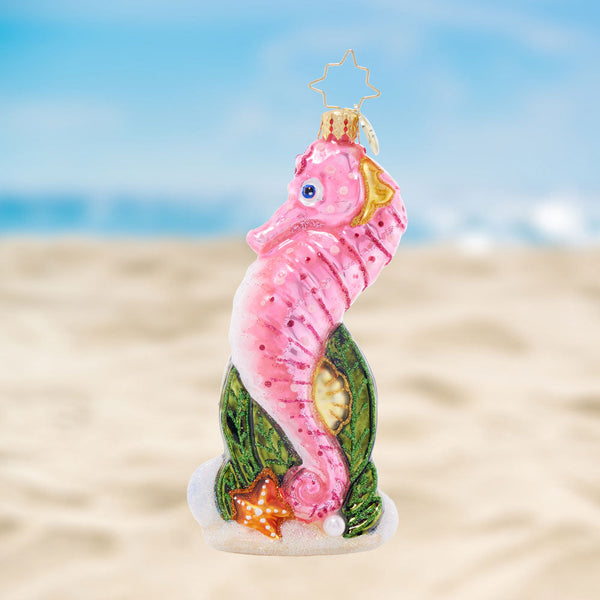 Sally Seahorse