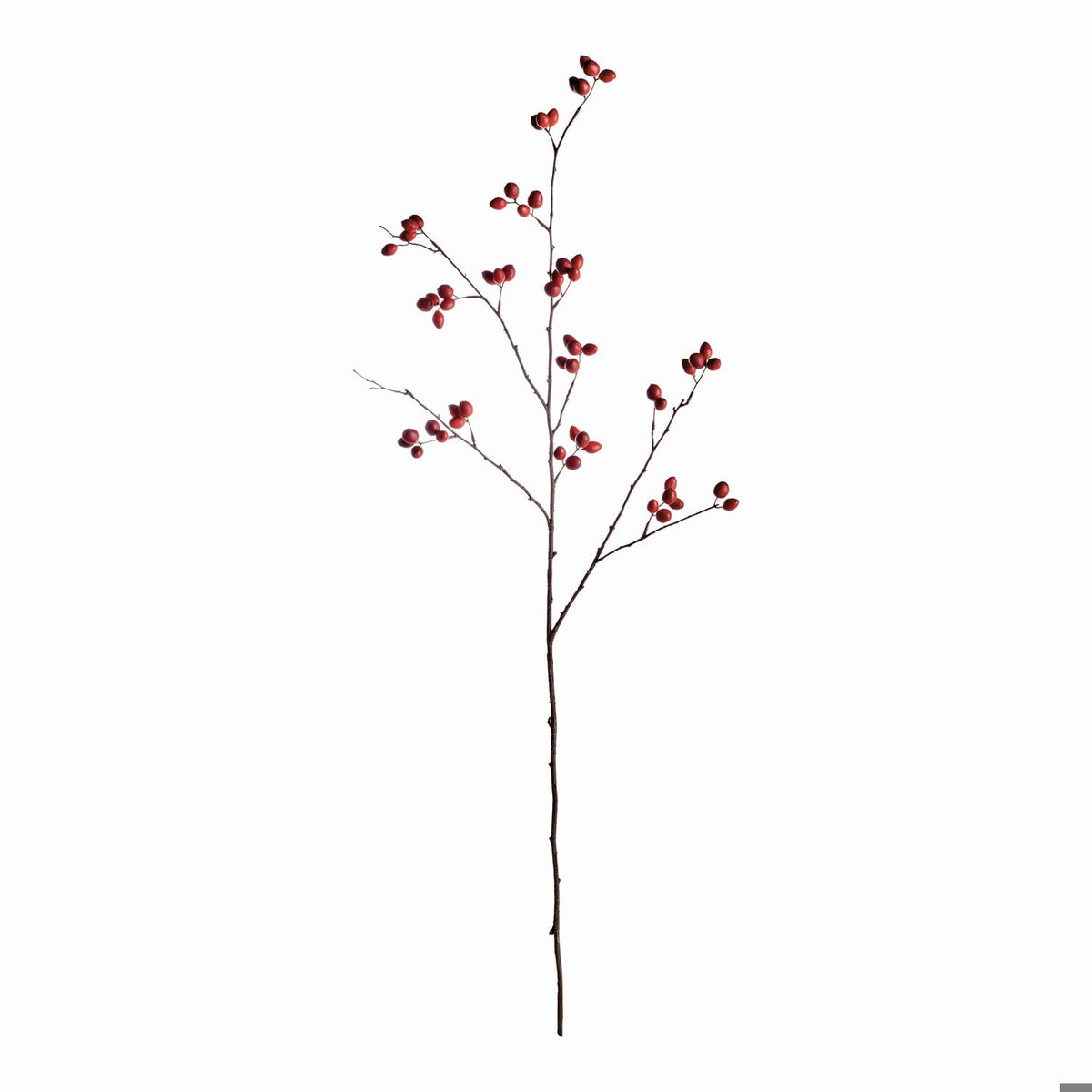 Napa Home & Garden Rosehip Branch 43"