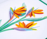 Quilling Card Quilled Bird of Paradise Greeting Card