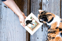 Quilling Card Quilled Mischievous Cat Greeting Card