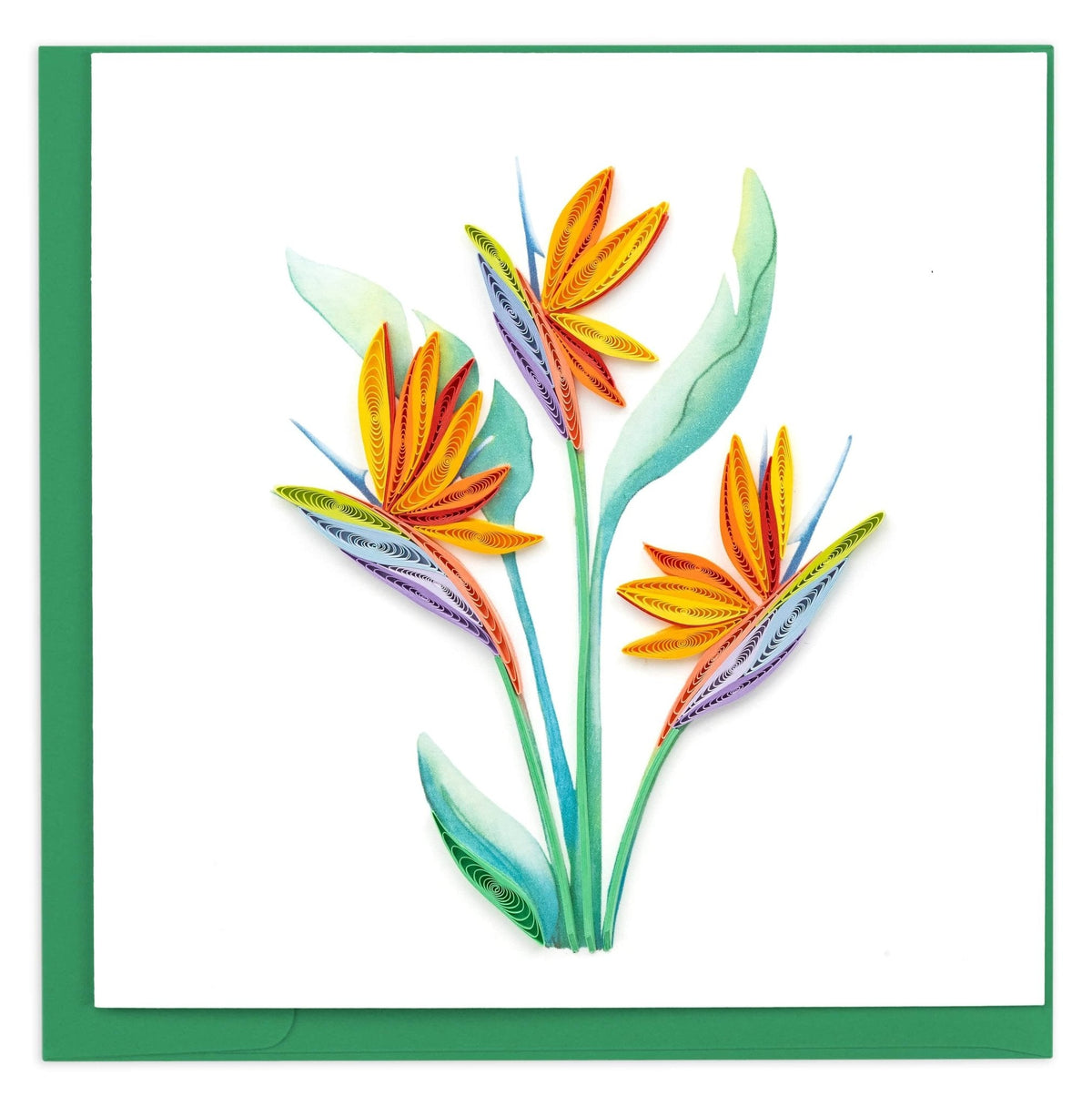 Quilling Card Quilled Bird of Paradise Greeting Card