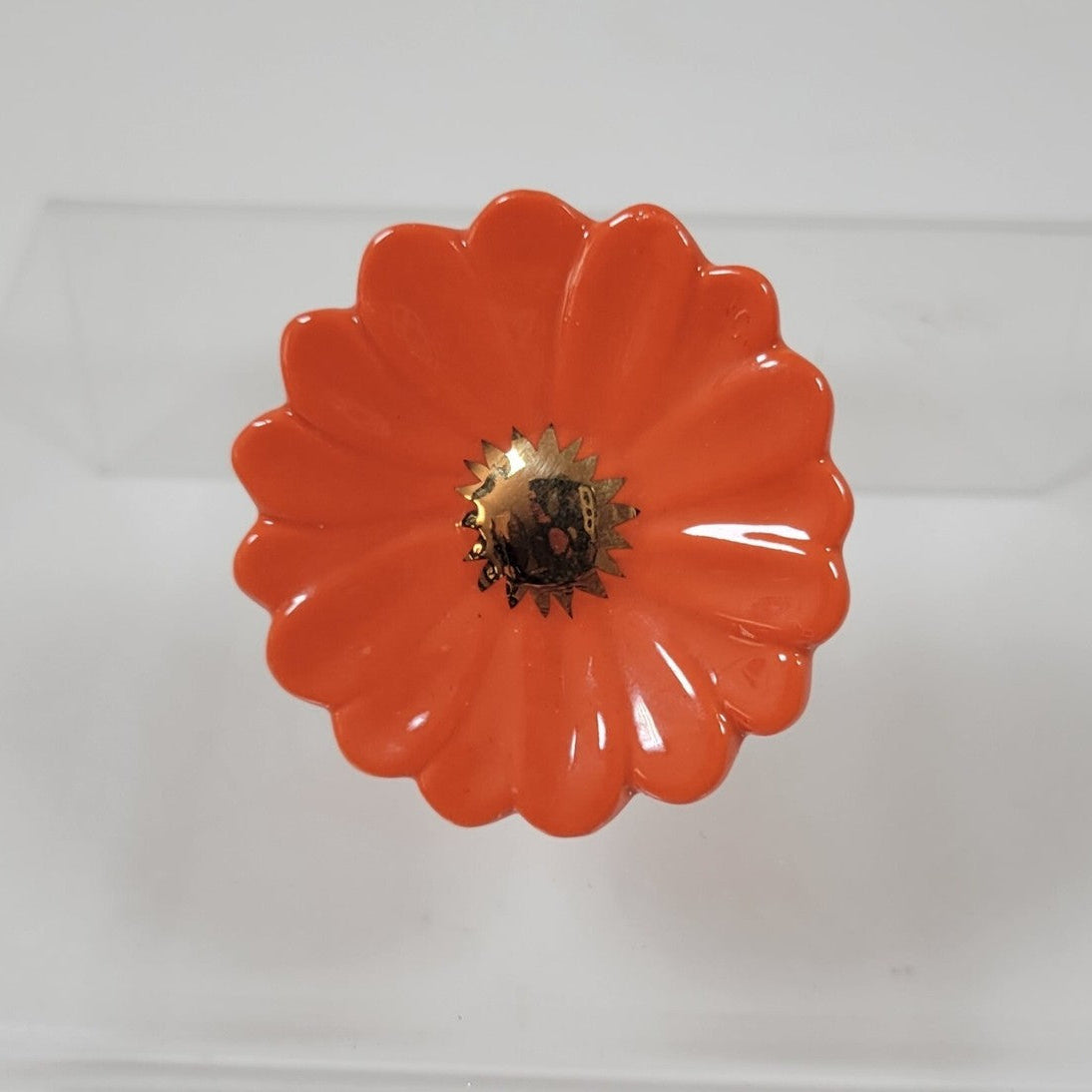 gerber daisy