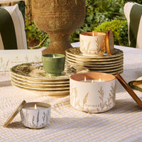 Outdoor Oasis Citronella Grove Aromatic Candle Set