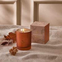 Pumpkin Laurel Aromatic Candle (6.5oz)