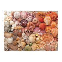 "Vibrant Seashells" Puzzle